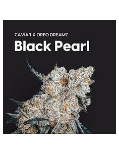 Cake & Caviar - Black Pearl...