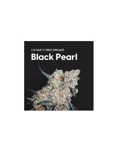 Cake & Caviar - Black Pearl 3.5g