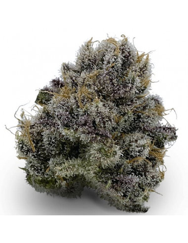 Western Cannabis - Loopy Fruit 3.5g