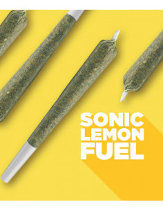 Spinach - Sonic Lemon Fuel...