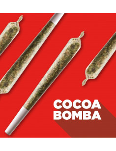 Spinach - Cocoa Bomba 3 x 0.5g