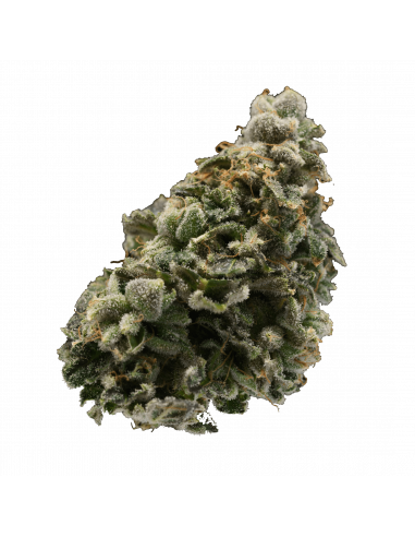 Western Cannabis - Orange Creamsicle 14g