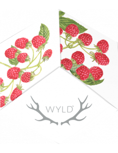 Wyld - Raspberry Gummies 2x5mg