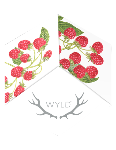 Wyld - Raspberry Gummies 2x5mg
