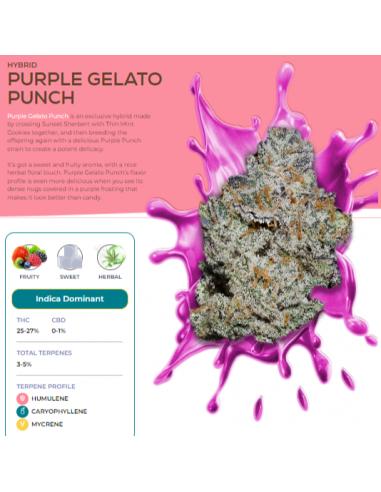 Full Sesh - Purple Gelato Punch 7g