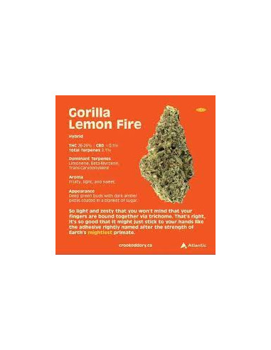 Crooked Dory - Gorilla Lemon Fire 3.5g