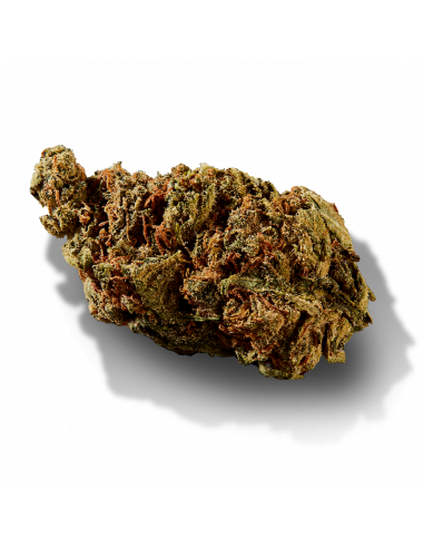 Versus - BC God Bud 3.5g