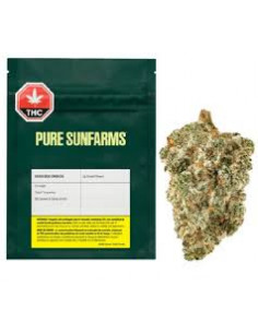 Pure SunFarms - Kush God 7g