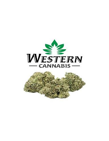 Western Cannabis - Face Off Star 3.5g