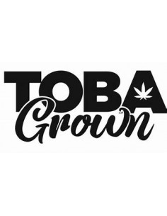 Toba Grown - Tobies Indica...