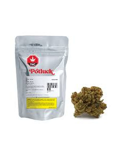 Potluck - Candy Cane Kush 7g