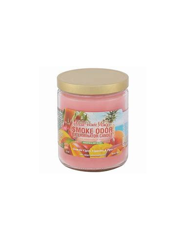 Smoke Odor Maui Wowie Mango 13 oz Candle