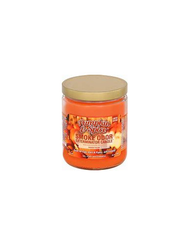 Smoke Odor Pumpkin Spice 13oz Candle