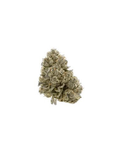 Western Cannabis - Face Off Star 28g