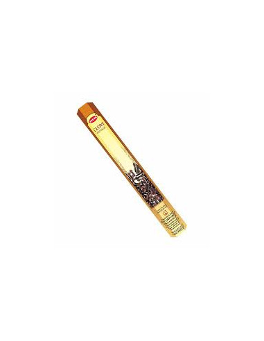 Hem - Clove Incense